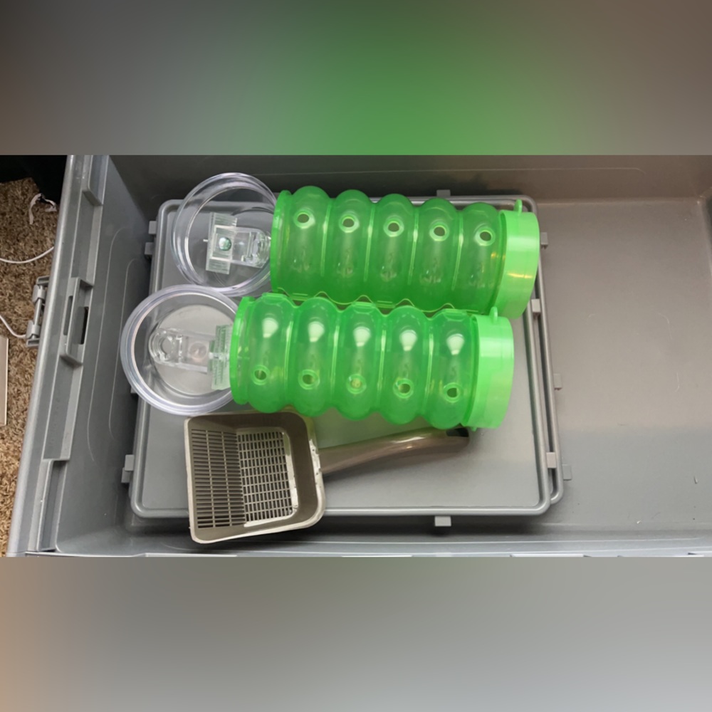 Ferret Cage